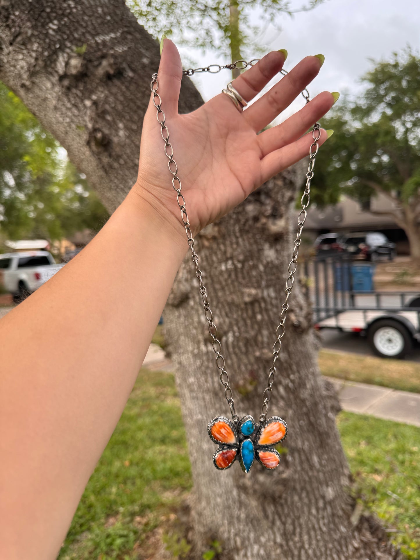 Butterfly fly away 🦋