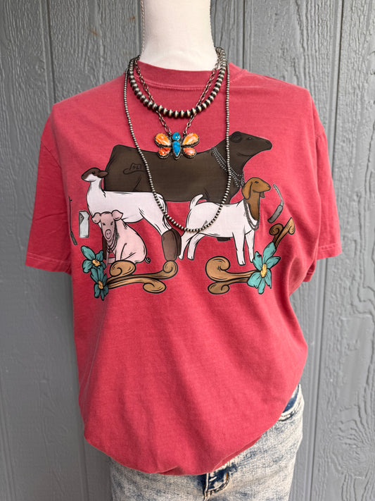 Stock show CC Top