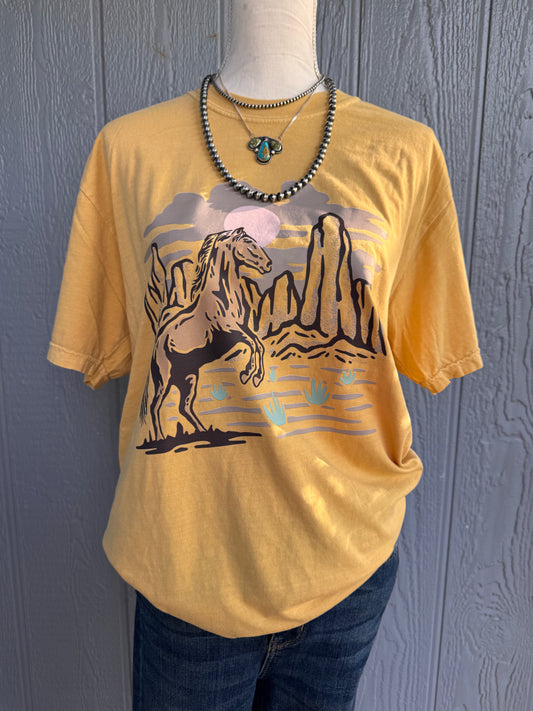 Desert wanderer CC Top